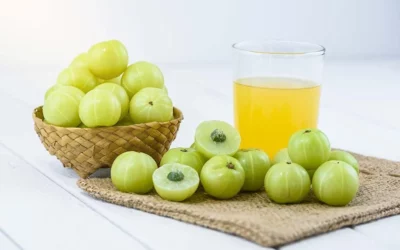 AMLA JUICE RECIPE